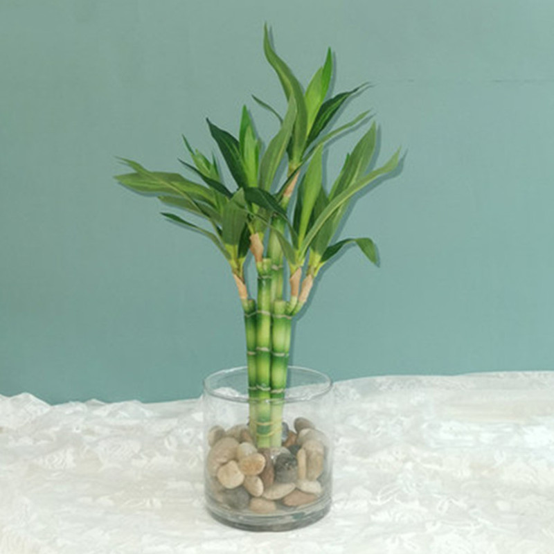 Desk Setup At Home - Nova Planta Artificial de Bambu da